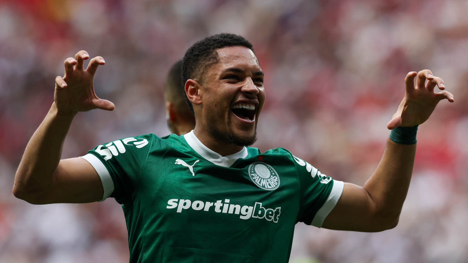 Palmeiras Assume Liderança do Brasileirão