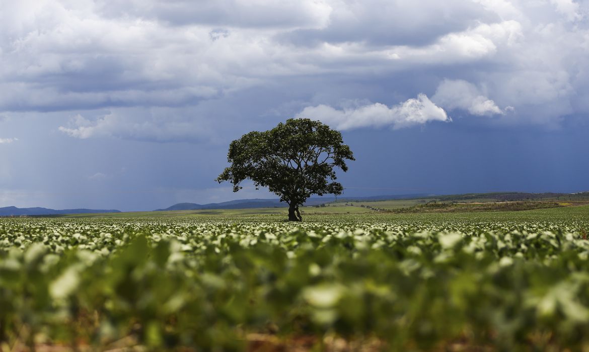 Crédito rural financiou R$ 92,4 bi em áreas com alertas ambientais 1 Crédito rural financiou R$ 92,4 bi em áreas com alertas ambientais