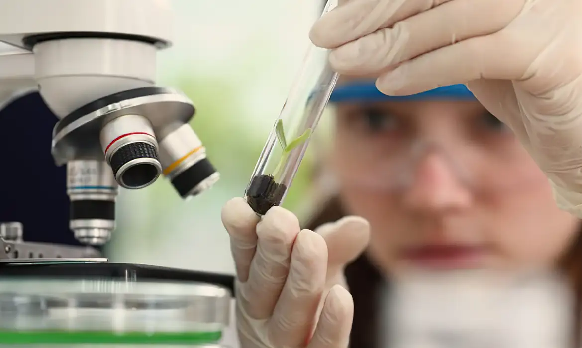 Prêmio para mulheres e meninas cientistas abre inscrições até outubro 1 Prêmio para mulheres e meninas cientistas abre inscrições até outubro