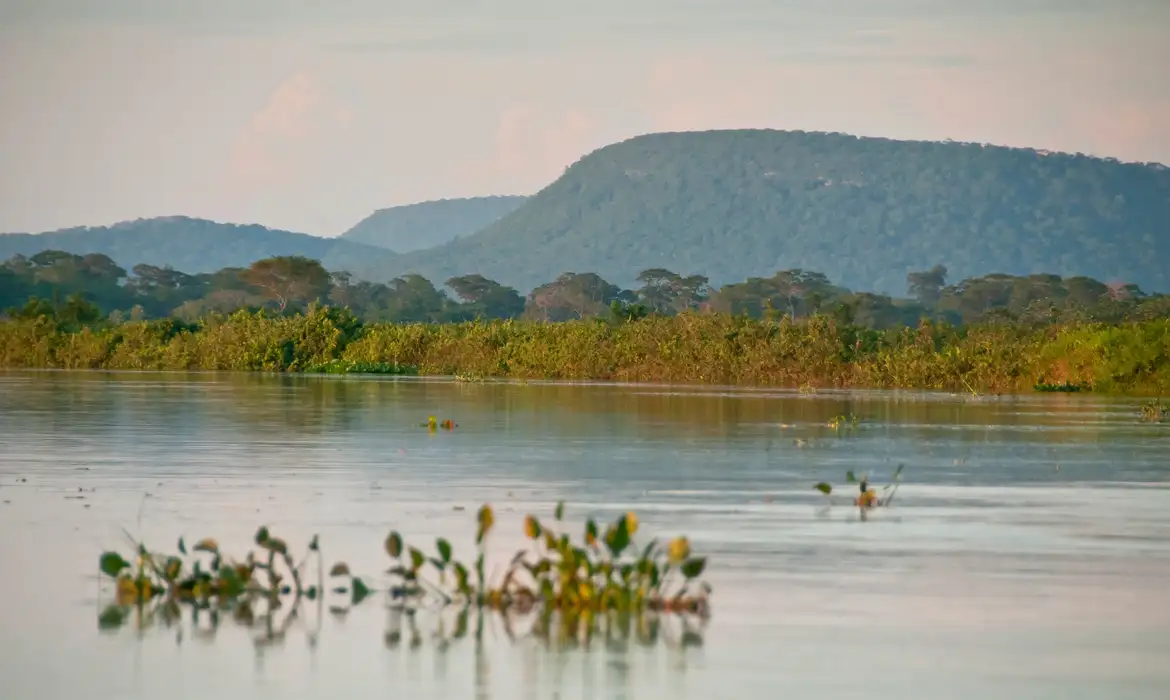 Cerrado brasileiro perdeu 13,9 milhões de hectares de margens de rios 1 Cerrado brasileiro perdeu 13,9 milhões de hectares de margens de rios