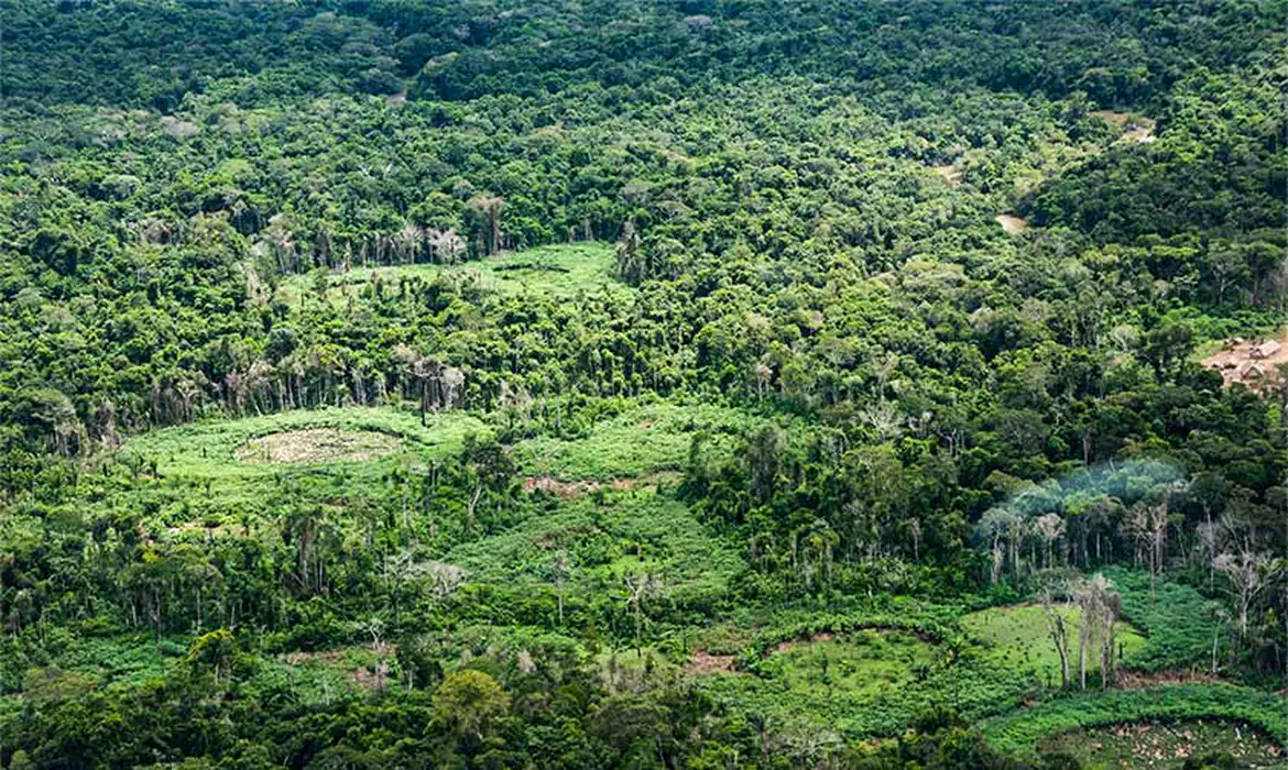 Plataforma pan-amazônica reúne 232 políticas públicas para bioeconomia 1 Plataforma pan-amazônica reúne 232 políticas públicas para bioeconomia